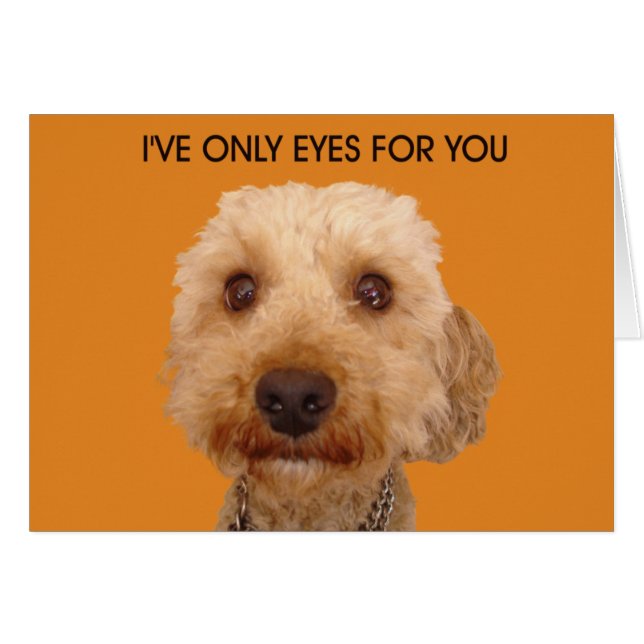 I've only eyes for you (Front Horizontal)