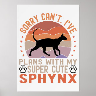 I've plans with my Sphynx cat
