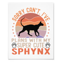 I've plans with my Sphynx cat