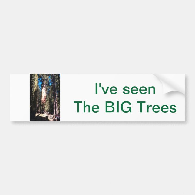 I've Seen the BIG Trees Bumper Sticker (Front)