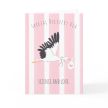 IVF Baby Stork’s Special Delivery Greeting Card 
