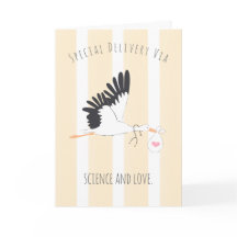 IVF Baby Stork’s Special Delivery Greeting Card 