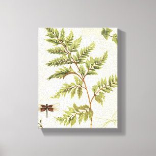 Ivies and Ferns Canvas Print