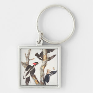 Ivory-billed Woodpecker, 1829, (print) Keychain