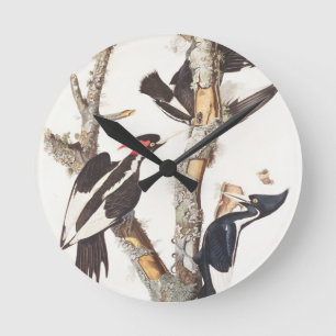 Ivory-billed Woodpecker, 1829, (print) Round Clock