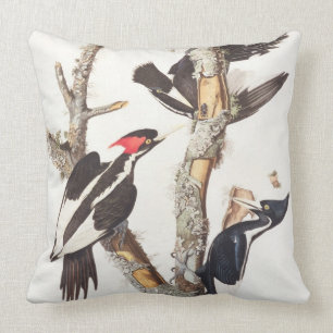 Ivory-billed Woodpecker, 1829, (print) Throw Pillow