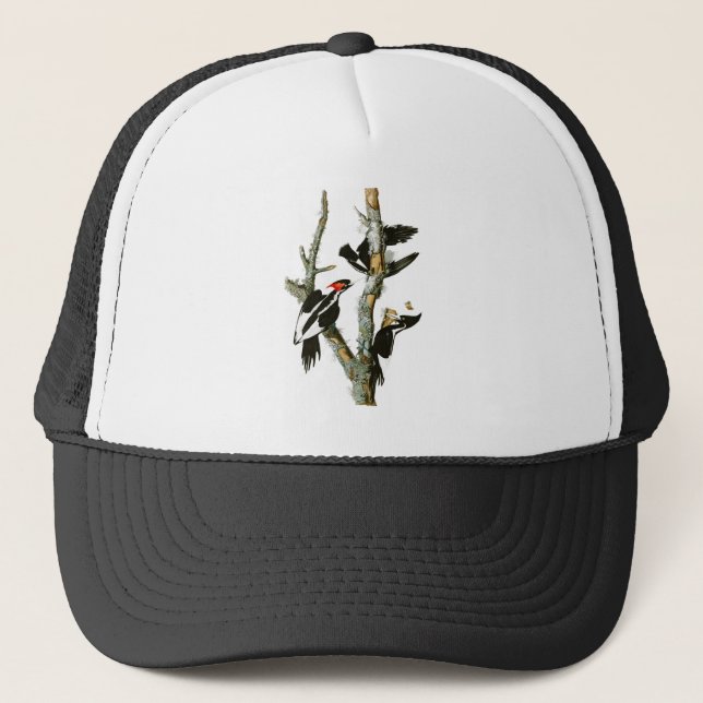Ivory-billed Woodpecker Audubon Birds of America Trucker Hat (Front)