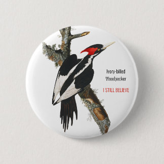 Ivory-billed Woodpecker, Audubon, I Still Believe, 2 Inch Round Button