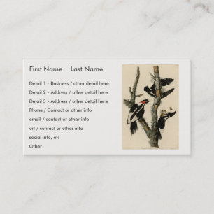 Ivory-billed Woodpecker Audubon's Birds of America Business Card