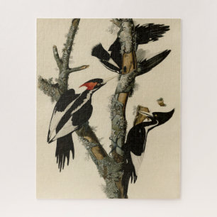 Ivory-billed Woodpecker Audubon's Birds of America Jigsaw Puzzle