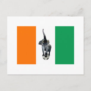 Ivory Coast Cote D'Ivore Soccer Flag Postcard