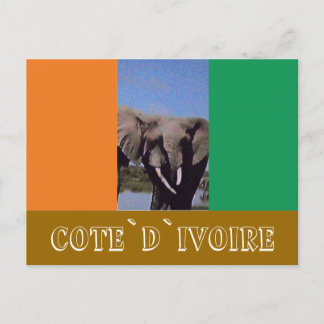 Ivory Coast flag Postcard