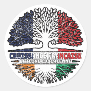 Ivory Coast Ivorian  French France Tree Roots Flag Classic Round Sticker
