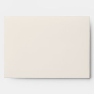 Ivory Cream Matching Wedding Blank Plain Off-White Envelope