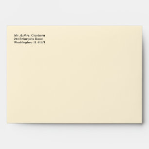 Ivory Envelope With Damask Inside