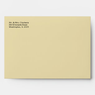 Ivory Envelope With Damask Inside