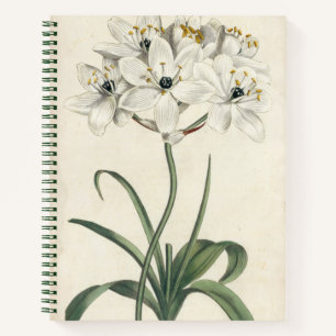Ivory Garden Notebook