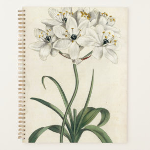 Ivory Garden Planner