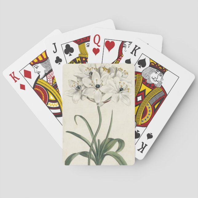 Ivory Garden Playing Cards (Back)