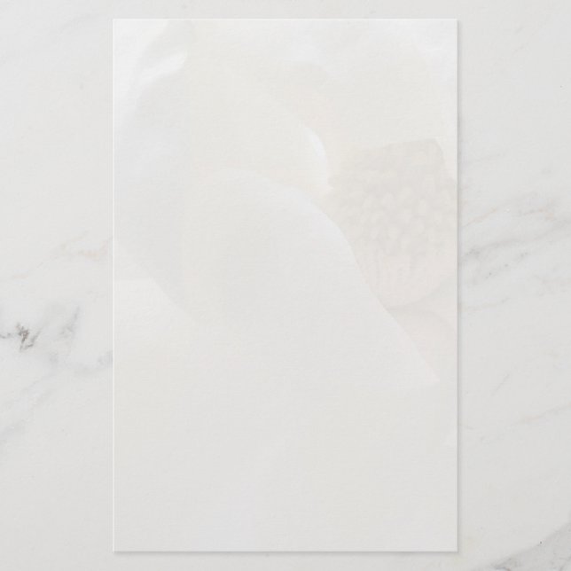 Ivory Magnolia Stationery (Front)