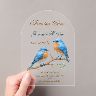 Ivory Pastel Lovebirds Romantic Bluebirds Wedding Acrylic Invitations
