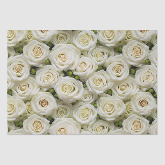 Ivory Roses Tissue Paper (Front)