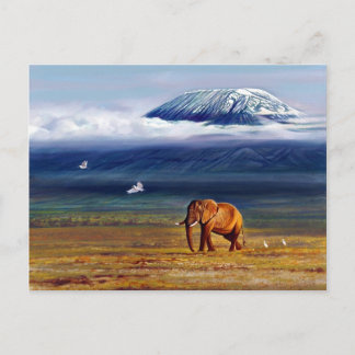 Ivory snow and egrets postcard