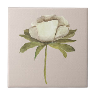 Ivory Watercolor Flower on Taupe Tile