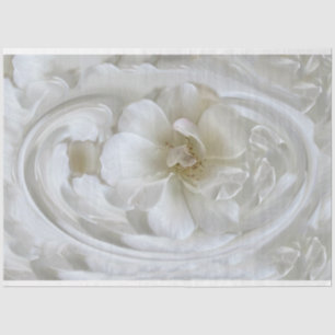 Ivory white tissue paper