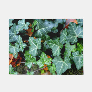 Ivy and field stone doormat