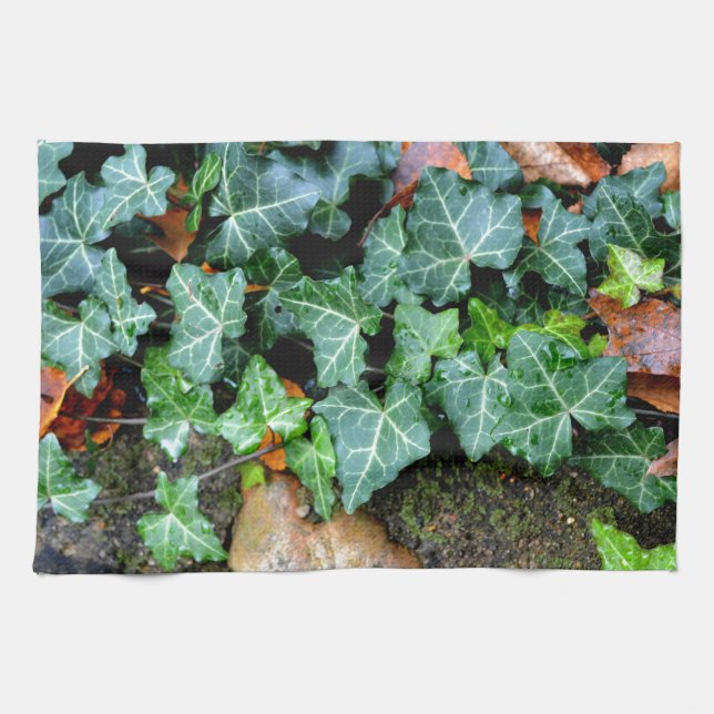 Ivy and field stone kitchen towel (Horizontal)