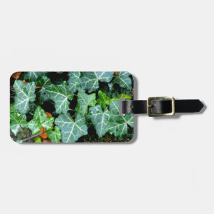 Ivy and field stone luggage tag