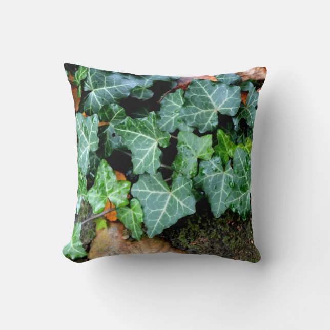 Ivy and field stone throw pillow (Front)
