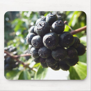 Ivy Berries Mousepad