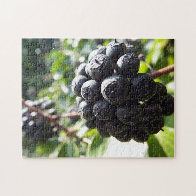 Ivy Berries Puzzle (Horizontal)