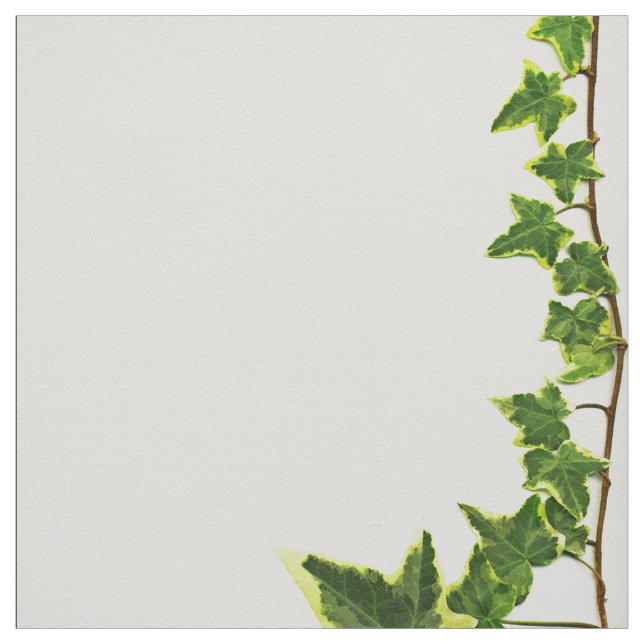 Ivy Border Fabric (Swatch)