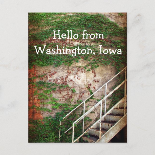 Ivy, Brick, and Stairs Postcard (Front)