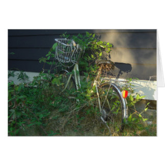 ivy covered bike