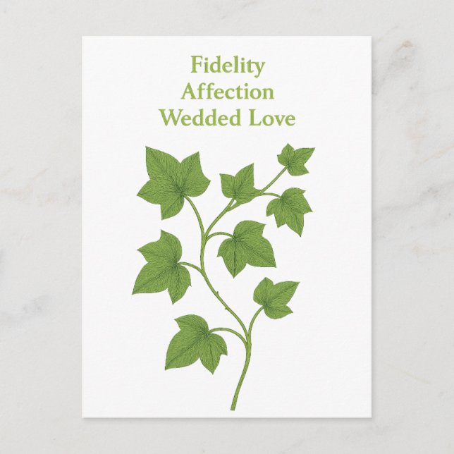 Ivy — Fidelity, affection, wedded love  Invitation Postcard (Front)