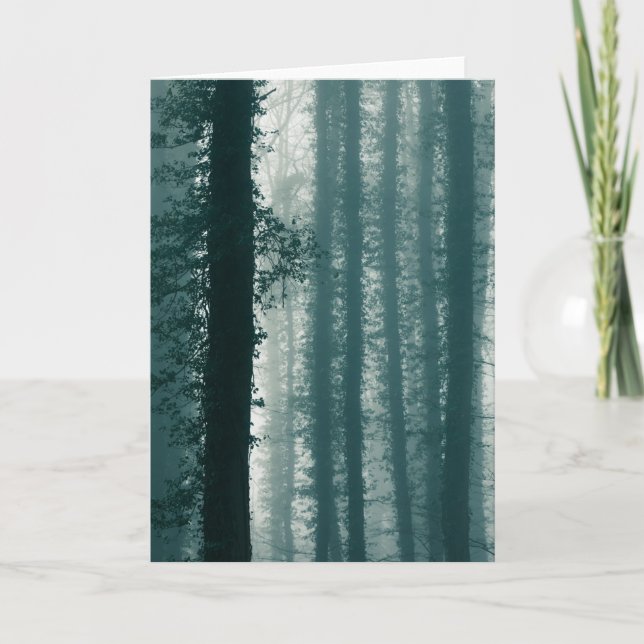 Ivy Forest Nature Photo Card (Front)
