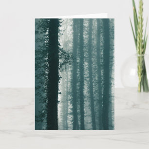Ivy Forest Nature Photo Card
