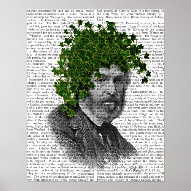 Ivy Head Plant Head Poster (Front)