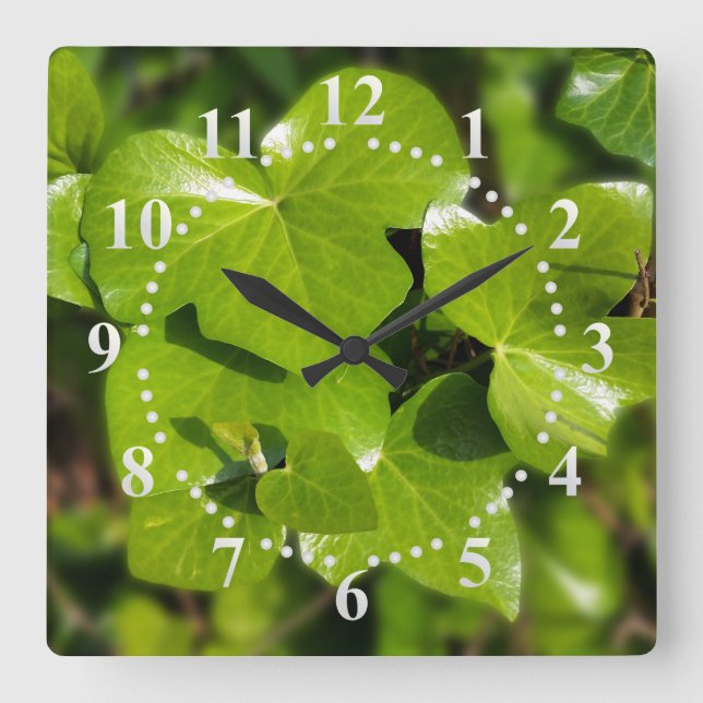 ivy in the sun square wall clock (Front)