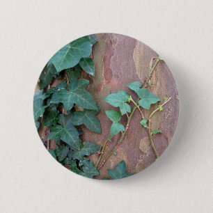 ivy on tree 2 inch round button