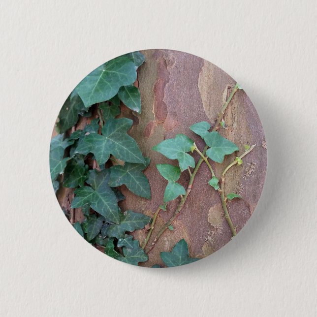 ivy on tree 2 inch round button (Front)