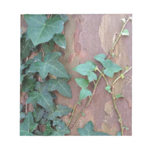 ivy on tree notepad
