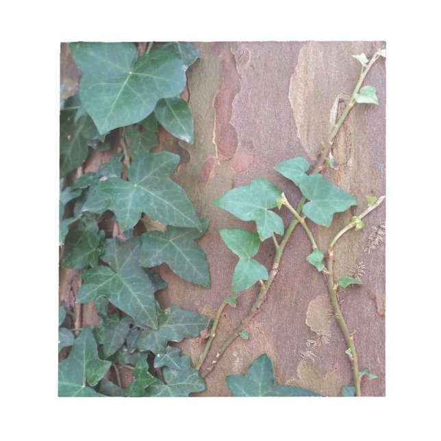 ivy on tree notepad (Front)