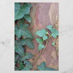 ivy on tree stationery
