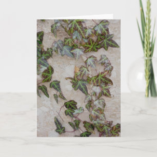 Ivy on Tree Trunk Holiday Card