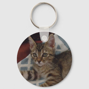 Ivy the tabby kitten keychain